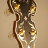 Ode 5 string Banjo Style D for sale