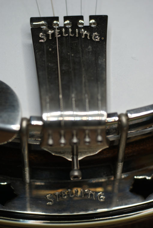 2014 Stelling Virginian 5 string Banjo