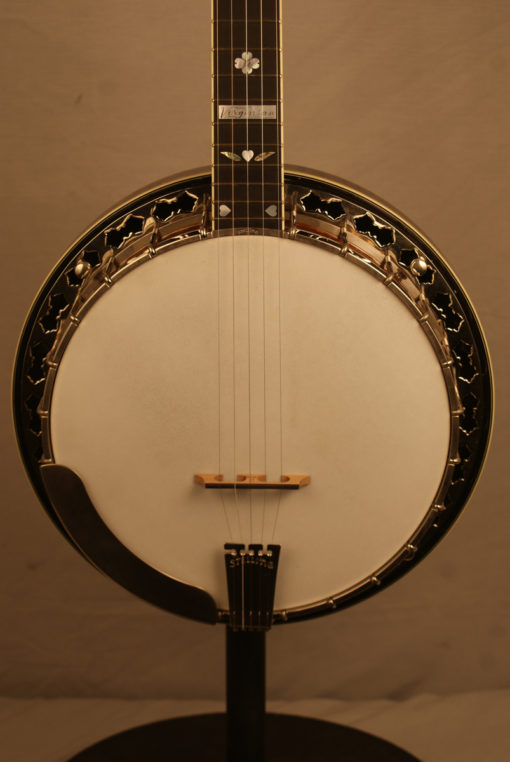 2014 Stelling Virginian 5 string Banjo
