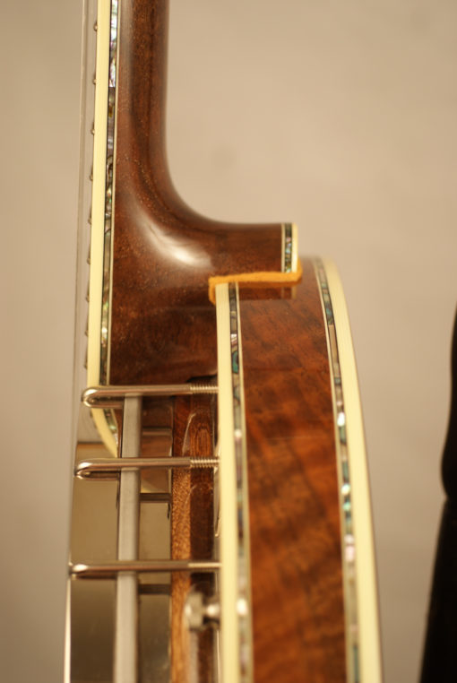 2015 Stelling Staghorn Archtop 5 string Banjo Stelling Banjo for Sale