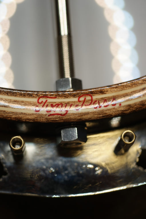 2015 Stelling Staghorn Archtop 5 string Banjo Stelling Banjo for Sale