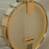 Deering Goodtime Tenor Ukulele Banjo for Sale