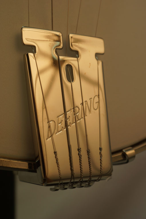 New Deering Goodtime Special Openback 5 string Banjo