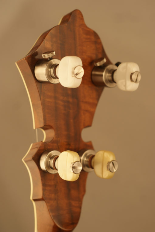 1999 Custom Engraved Stelling Staghorn 5 string Banjo GORGEOUS Stelling Banjo for Sale