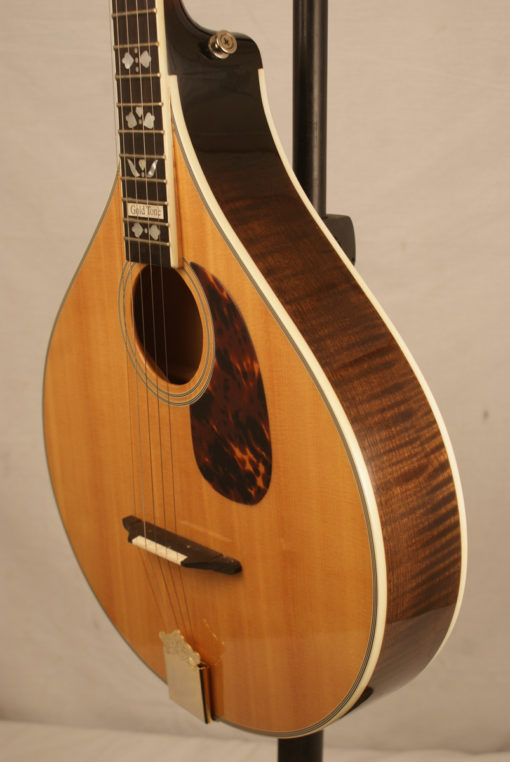 Gold Tone Banjola Deluxe 5 string Banjo Gold Tone Banjo for Sale