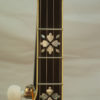 NEW Recording King RKR76 Elite BLEM 5 string Banjo for Sale
