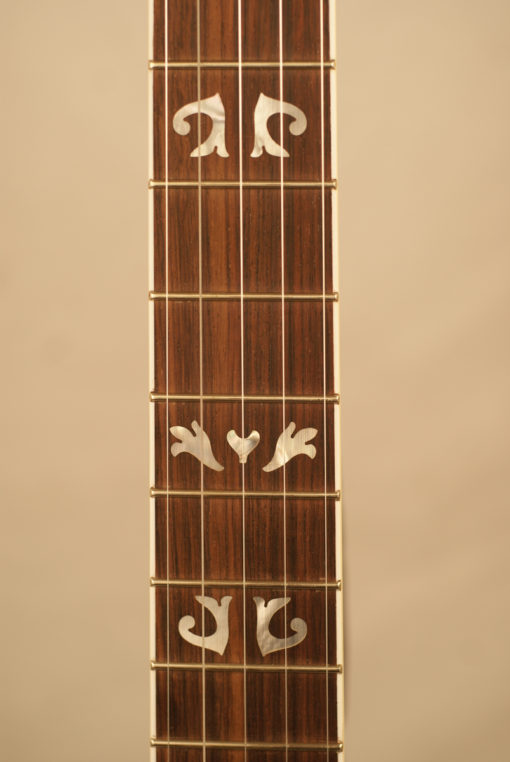 Davis VT-3 5 string Banjo Davis Banjo for Sale