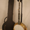 1983 Stelling Sonflower Banjo Stelling Banjo for Sale
