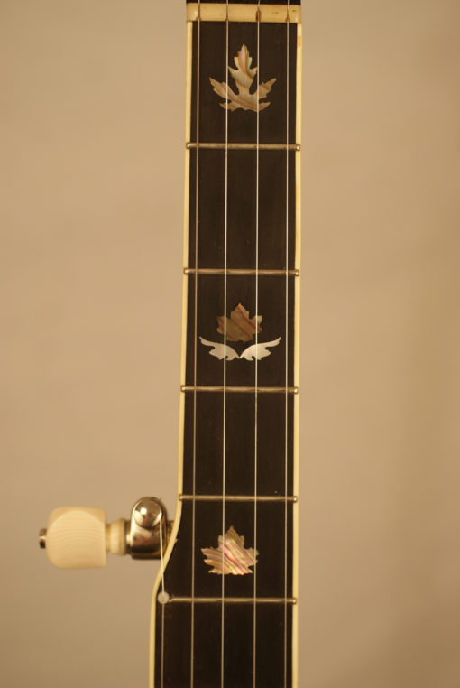 2007 Stelling Red Fox Archtop 5 string Banjo Stelling Banjo for Sale