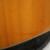 Guild D-50 Acoustic Guitar with Brazilian Rosewood