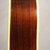 Guild D-50 Acoustic Guitar with Brazilian Rosewood