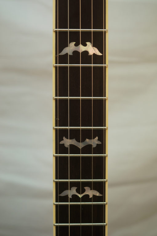 New Deering Terry Baucom 5 string Banjo for Sale