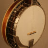 2002 Stelling Sunflower 5 string Banjo Stelling Banjos for Sale