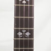 New Davis Banjo VTE Standard 5 string Banjo for Sale