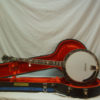 1999 Stelling Staghorn 5 string Banjo Stelling Banjos for Sale Stelling