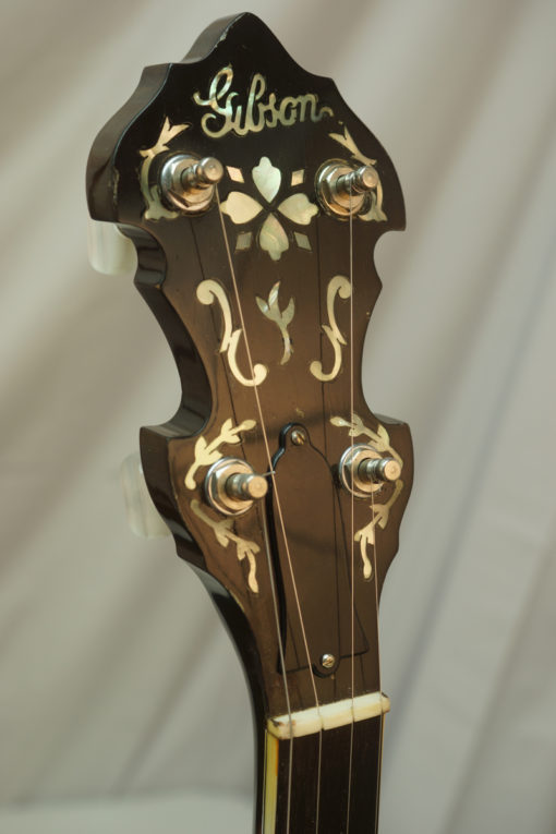 5 String parts Banjo for Sale