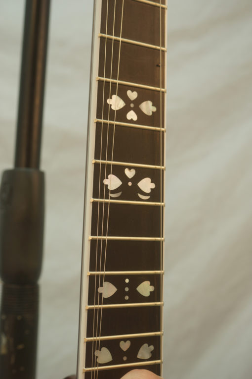 New Left Handed Deering Banjo Golden Era Deering Banjos for Sale