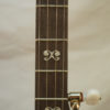 Left Handed Deering Artisan Goodtime Special 5 string Banjo for Sale
