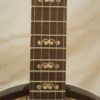 Left Handed Deering Artisan Goodtime Special 5 string Banjo for Sale