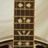 New Morgan Monroe 5 string Banjo Beginner Banjo for Sale