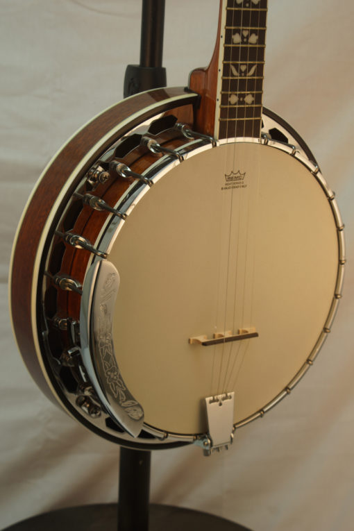 New Morgan Monroe 5 string Banjo Beginner Banjo for Sale
