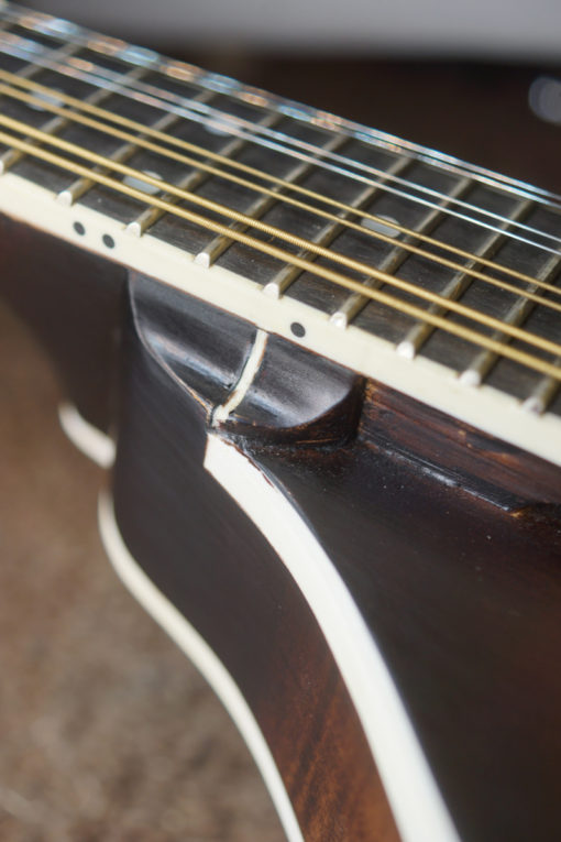 Gold Tone GM55A Blem A Style Mandolin for Sale