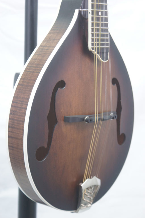 Gold Tone GM55A Blem A Style Mandolin for Sale