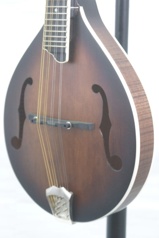 Gold Tone GM55A Blem A Style Mandolin for Sale
