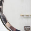 Project Banjo