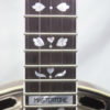 1930's Gibson Kel Kroydon TB11 5 string