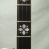 1995 Gibson Scruggs Standard