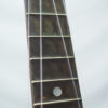Gibson Ukulele Banjo