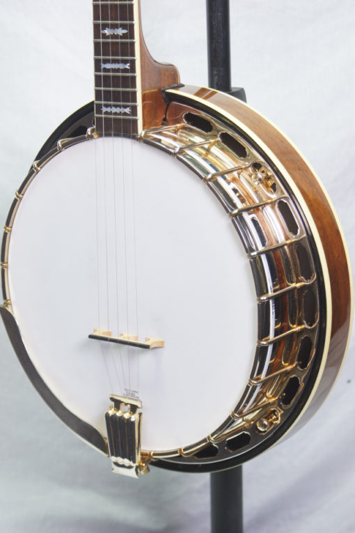 Fender Artist 5 string Banjo Gold Hardware
