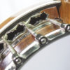 Stelling Bellflower Top Tension 5 string Banjo Stelling Banjo for sale
