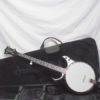 Deering Crossfire Electric Banjo 5 string for Sale