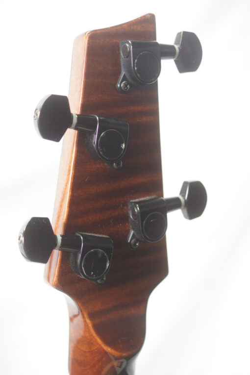 Nechville Meteor 5 string Banjo for Sale