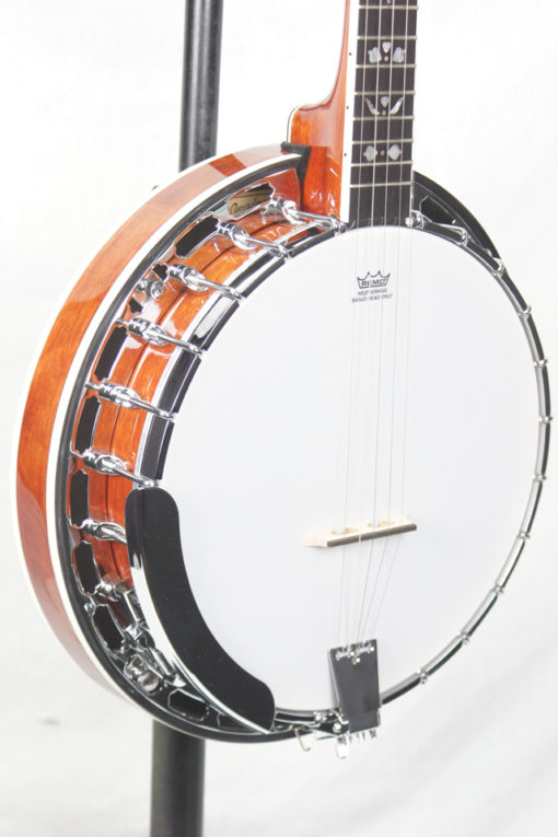 recording king bluegrass series rk r20 songster banjo