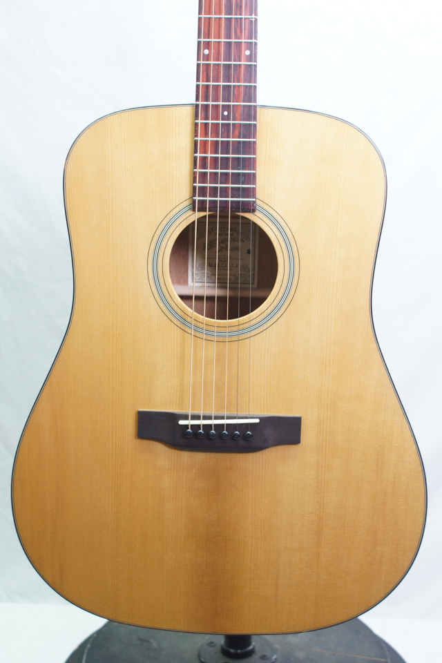 New Recording King RDT16 Torrefied Acoustic Guitar BLEM 