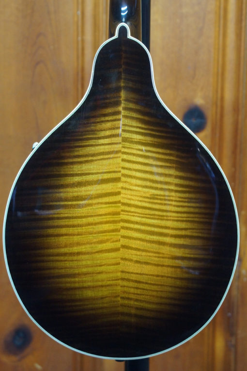 Mandolin Banjos