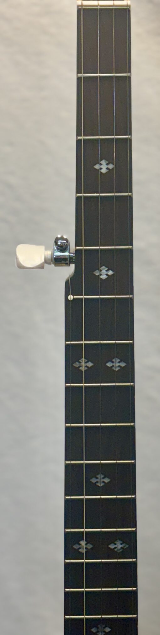 Gold Tone CC-100R 5-string Banjo with gig bag - Image 9