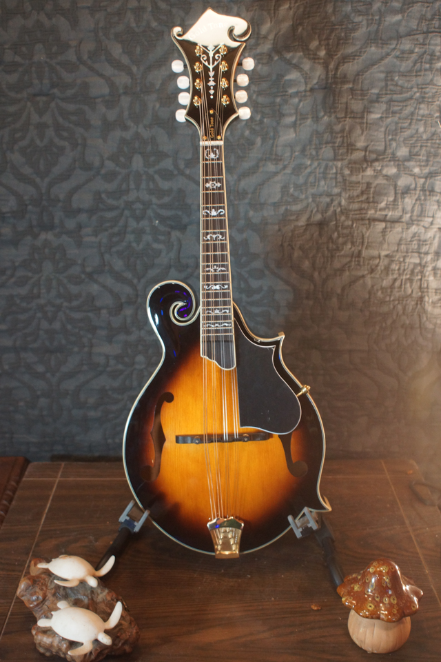 MB-850+: Mandolin-Banjo  Gold Tone Folk Instruments