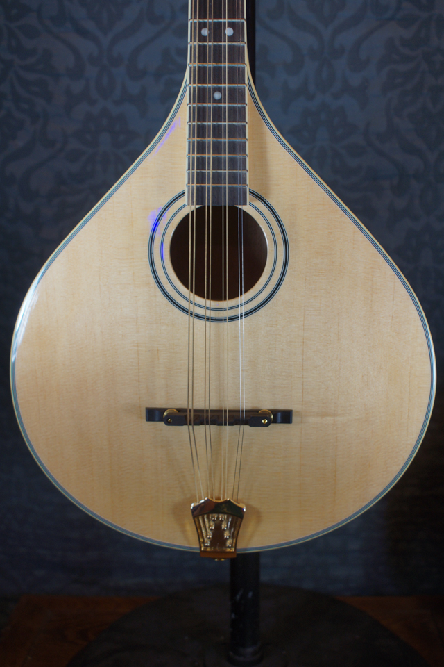 https://banjowarehouse.com/wp-content/uploads/2023/07/NEW-Gold-Tone-OM-800-Octave-Mandolin-with-Case-for-Sale-3.jpg