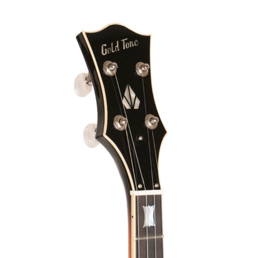 Gold Tone OB-2 banjo pot assembly close-up featuring 19-hole brass tone ring, cast flange, and Mastertone-style construction details