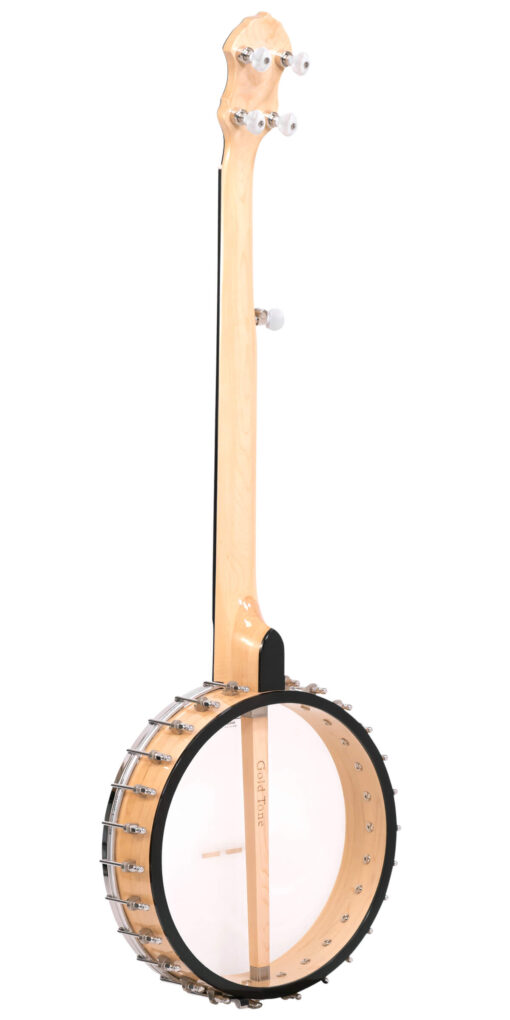 Gold Tone BC-350 banjo pot with Remo head and chrome hardware