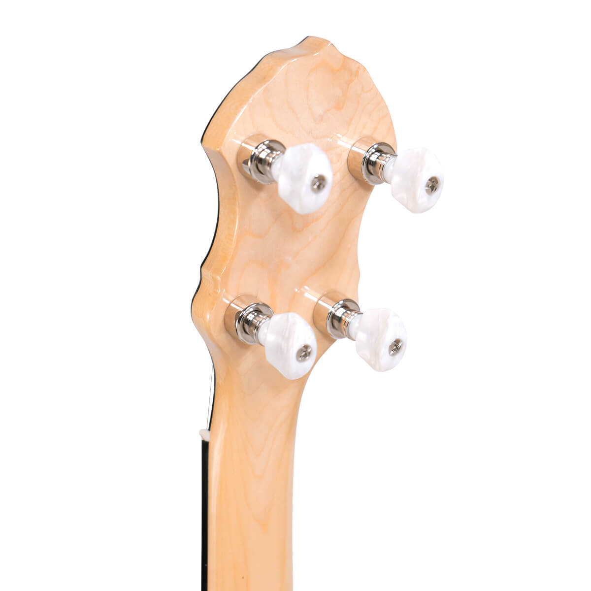 Gold Tone BC-350 banjo maple rim and neck joint with Remo head