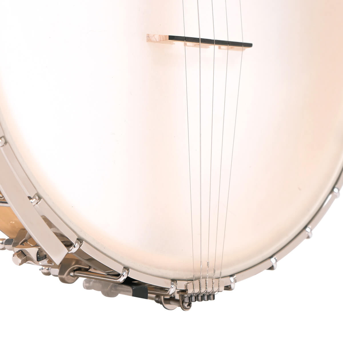 Gold Tone BC-350 openback banjo back view with maple rim and coordinator rod