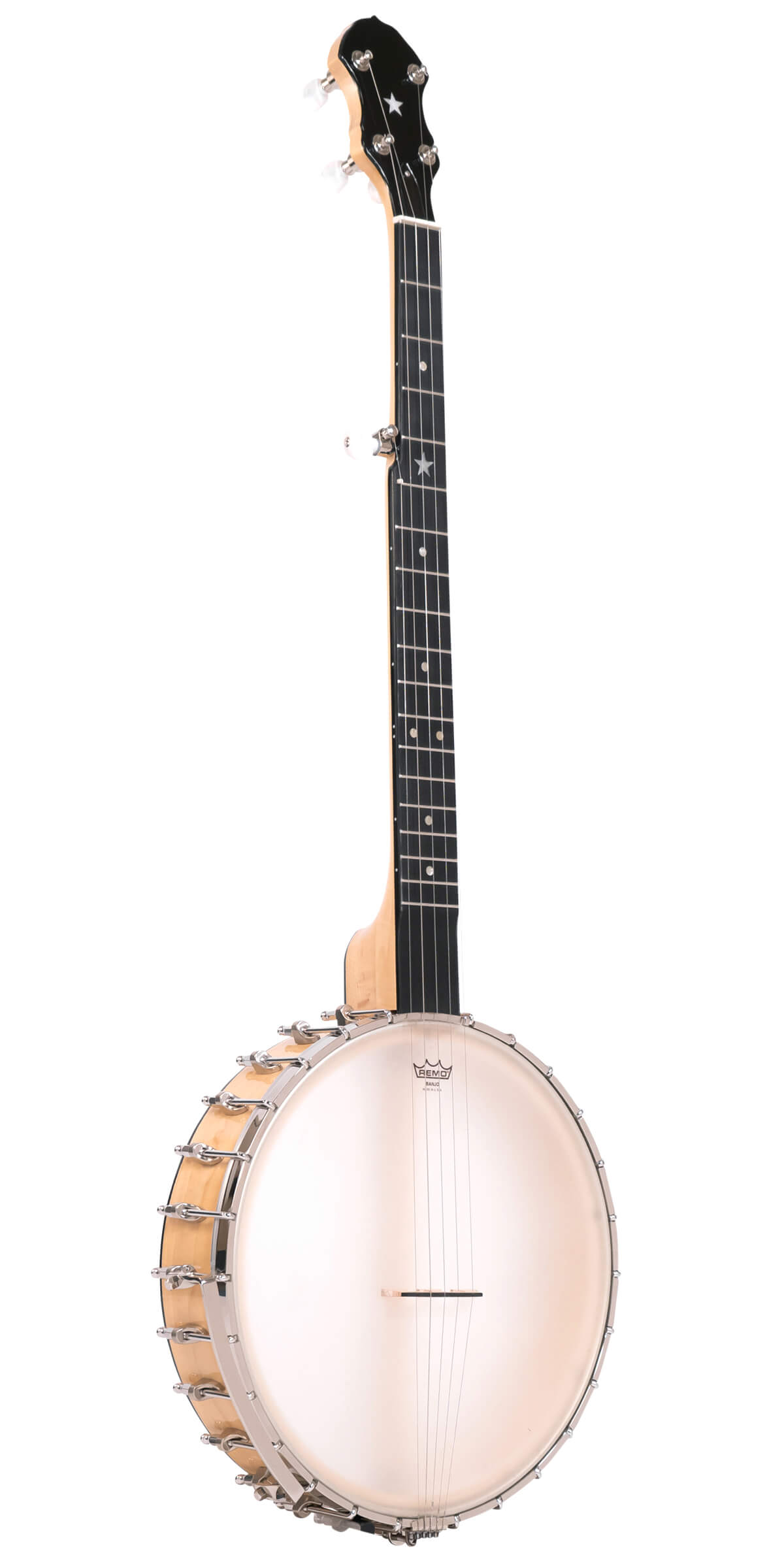 Gold Tone BC-350 banjo hardshell case