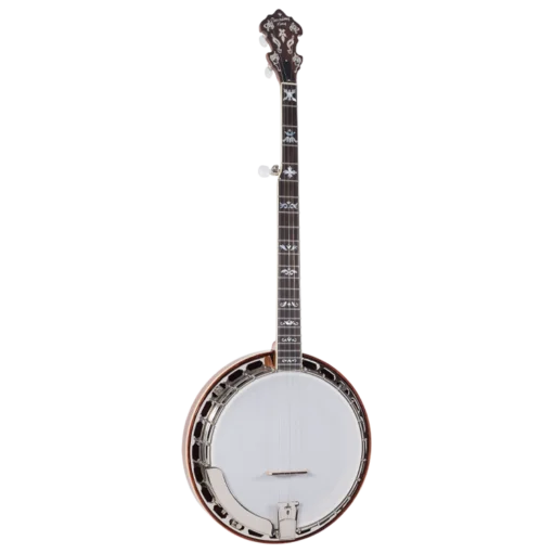 Recording King RK-ELITE 75 banjo full front view showing mahogany neck, ebony fretboard with Flying Eagle inlays, and frosted Remo head