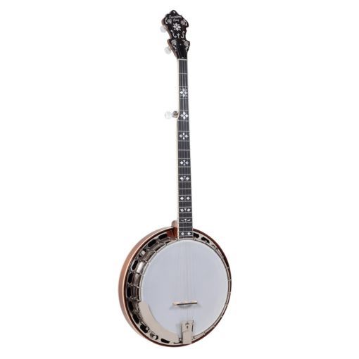 Recording King RK-Elite-76 Banjo With Hard Shelled Case - Image 2