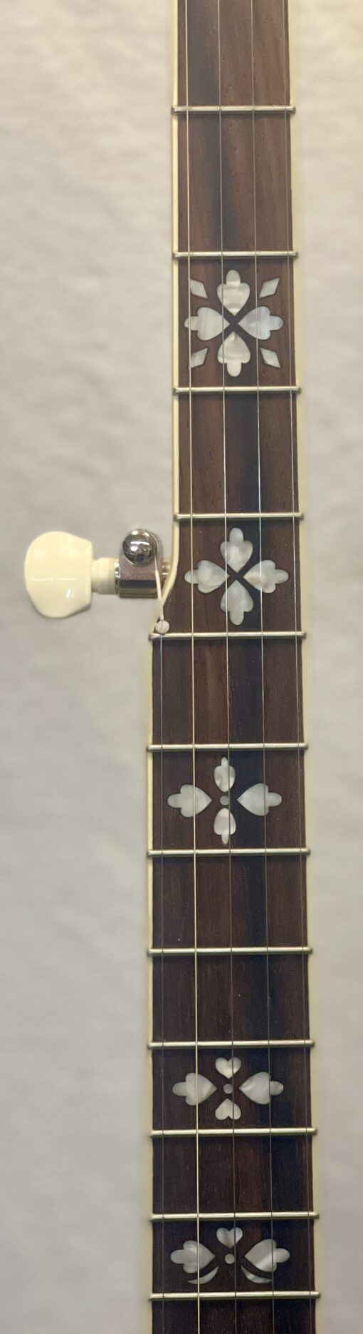 Blem Recording King RKR-20 Songster Resonator Banjo with free hardshell case - Image 7